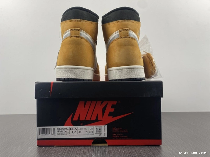 DB2889-700 Element 1 Jordan Light High Gore-Tex Curry 0703